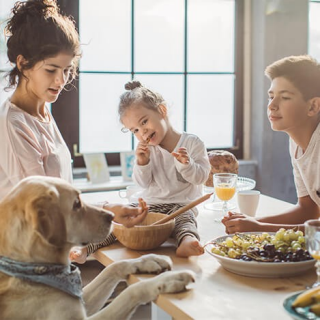 ¿Mascota en casa? Gérmenes seguros